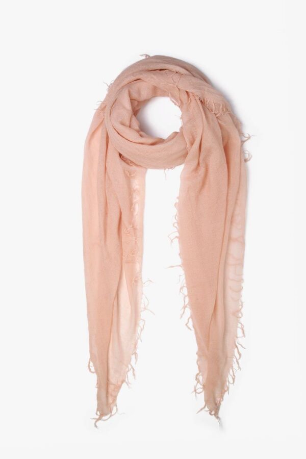 Anabrushella pashmina and silk stole