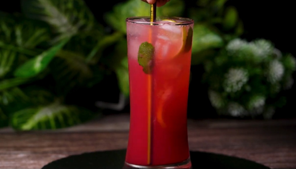 Pomegranate Mojito
